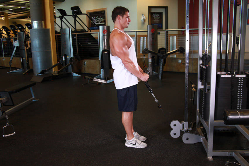 How to perform the Cable Hammer Curls - Rope Attachment exercise