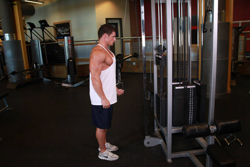 How to perform the Cable One Arm Tricep Extension exercise