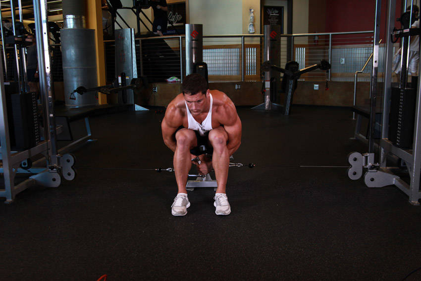 How to perform the Cable Seated Lateral Raise exercise