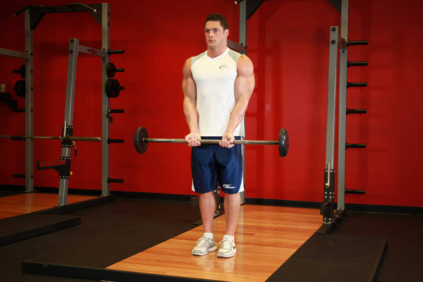 How to perform the Close-Grip Standing Barbell Curl exercise