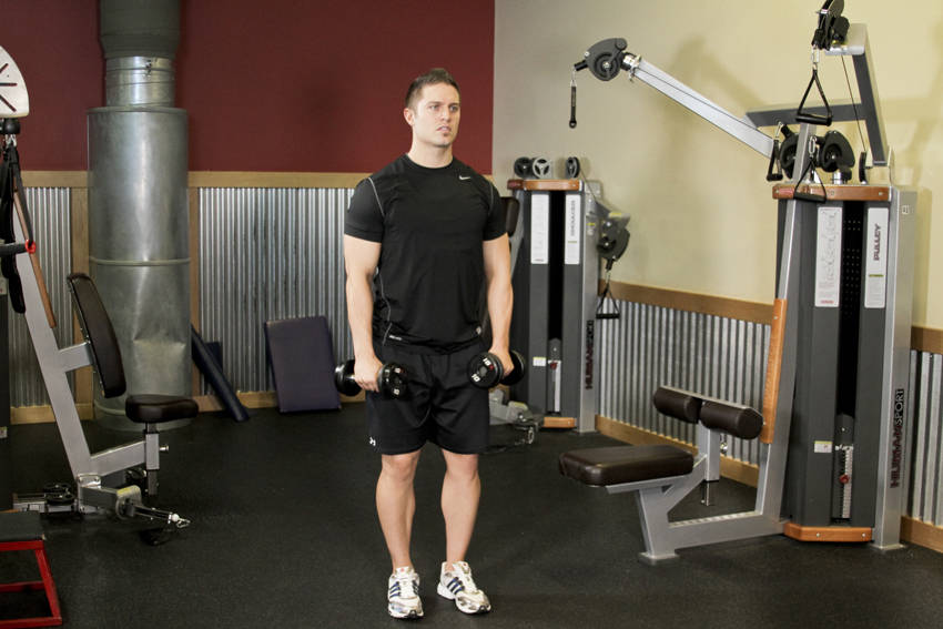 How to perform the Alternating Deltoid Raise exercise