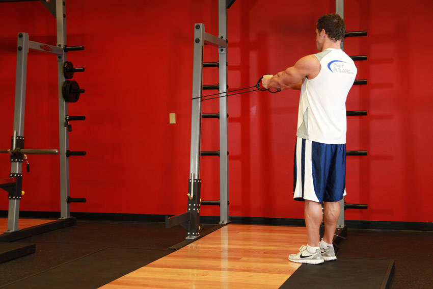 How to perform the Back Flyes - With Bands exercise