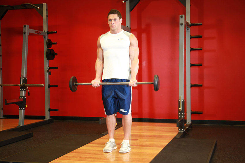 How to perform the Barbell Curl exercise