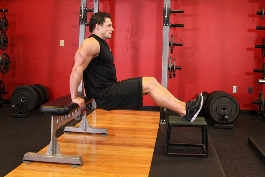 How to perform the Bench Dips exercise