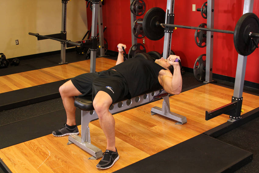 How to perform the Bench Press - With Bands exercise