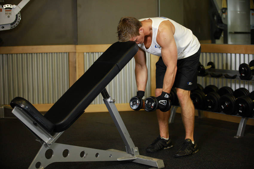 How to perform the Bent Over Dumbbell Rear Delt Raise With Head On Bench exercise
