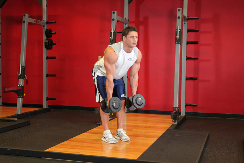 How to perform the Bent Over Two-Dumbbell Row With Palms In exercise