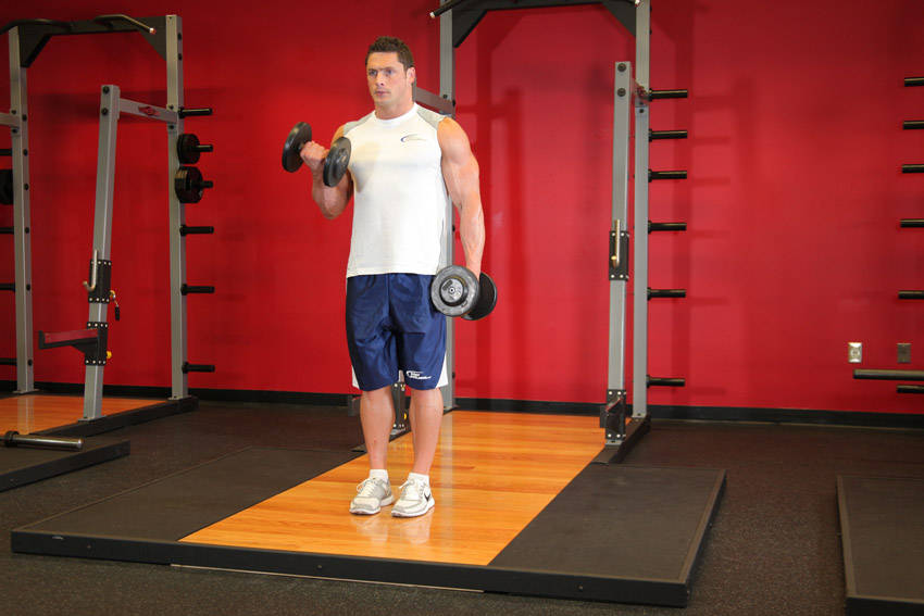 How to perform the Dumbbell Alternate Bicep Curl exercise