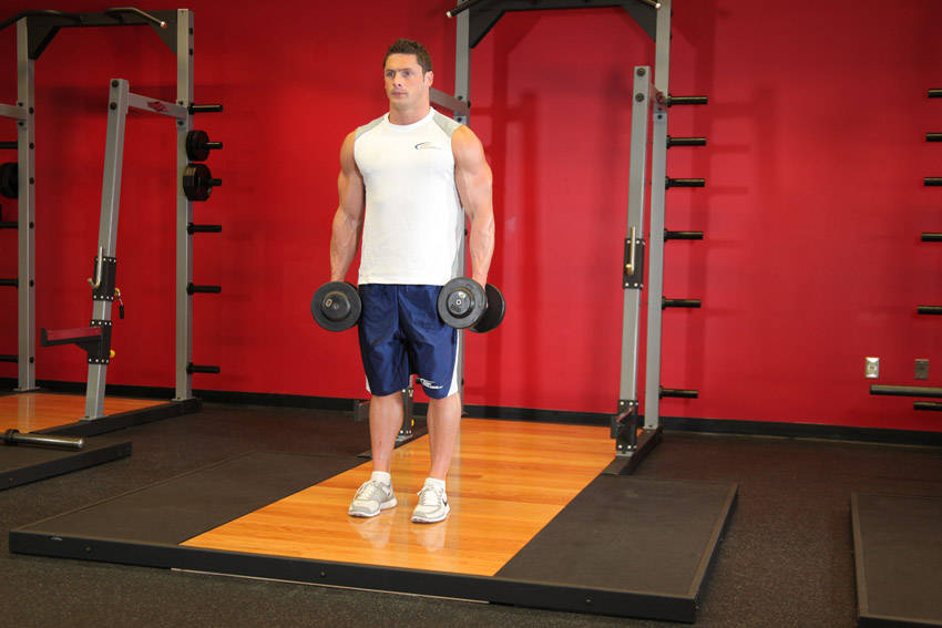 How to perform the Dumbbell Bicep Curl exercise