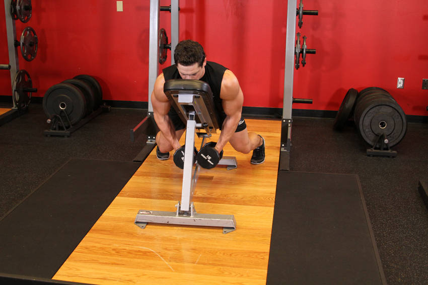 How to perform the Dumbbell Lying Rear Lateral Raise exercise