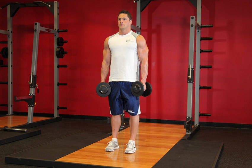 How to perform the Dumbbell Shrug exercise