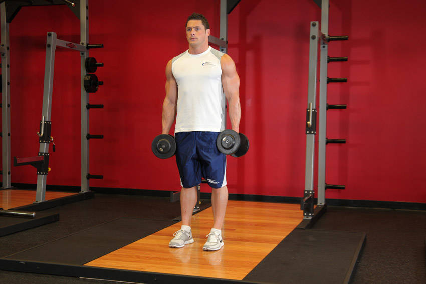 How to perform the Dumbbell Rear Lunge exercise