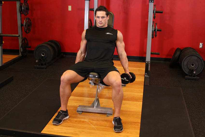 How to perform the Flexor Incline Dumbbell Curls exercise