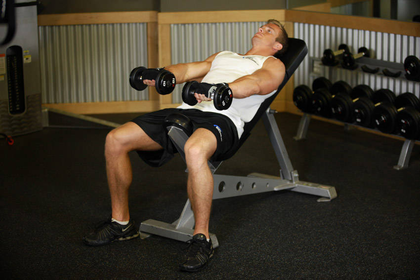 How to perform the Front Incline Dumbbell Raise exercise