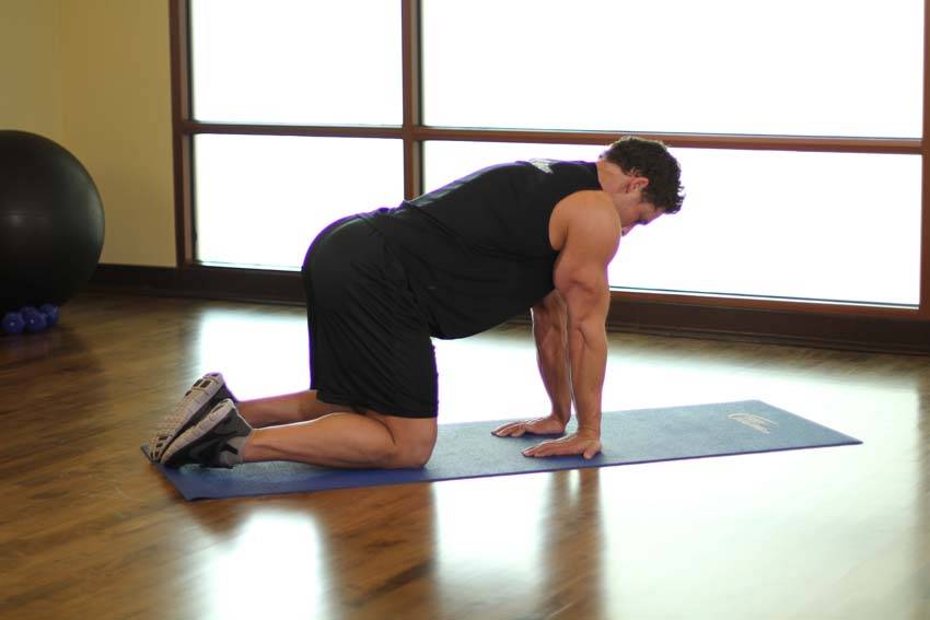 How to perform the Kneeling Forearm Stretch exercise