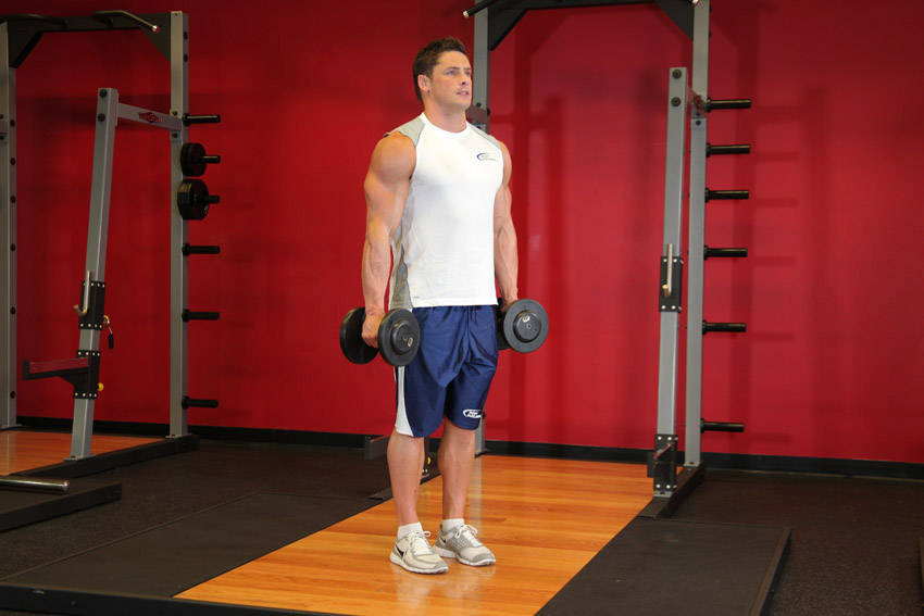How to perform the Hammer Curls exercise