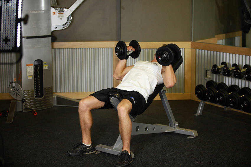 How to perform the Hammer Grip Incline DB Bench Press exercise
