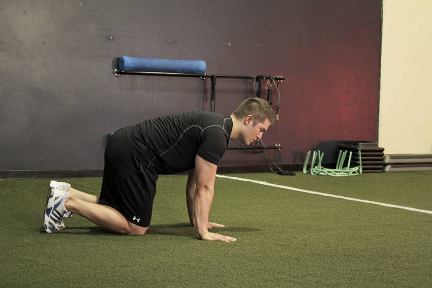 How to perform the Hip Circles (prone) exercise