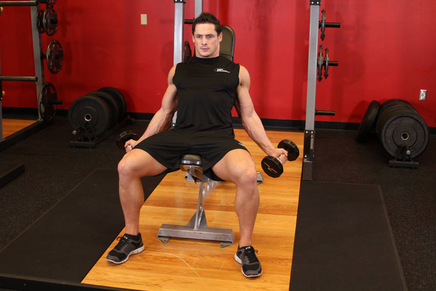 How to perform the Incline Inner Biceps Curl exercise