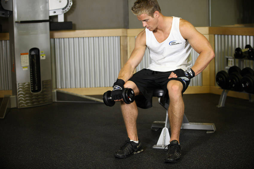How to perform the Seated One-Arm Dumbbell Palms-Down Wrist Curl exercise