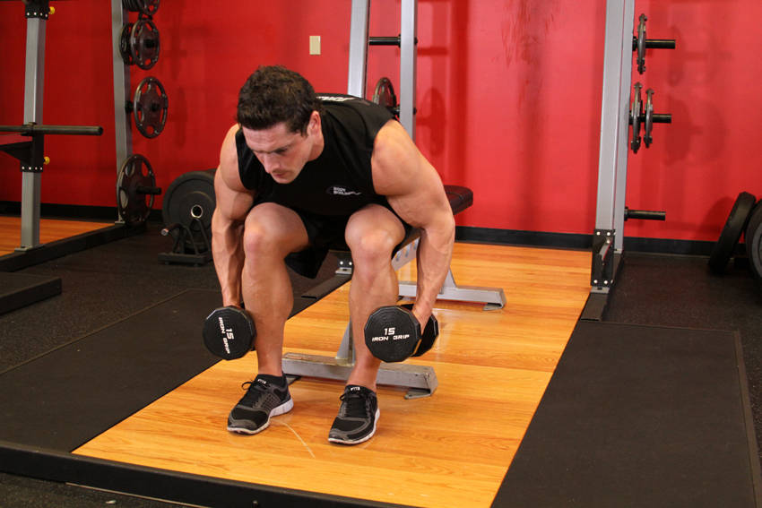 How to perform the Seated Bent-Over Rear Delt Raise exercise