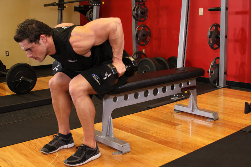 How to perform the Seated Bent-Over Two-Arm Dumbbell Triceps Extension exercise