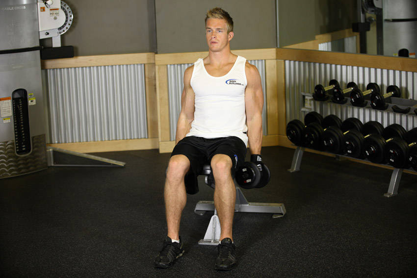How to perform the Seated Dumbbell Inner Biceps Curl exercise