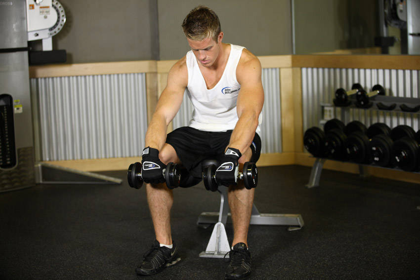 How to perform the Seated Dumbbell Palms-Down Wrist Curl exercise