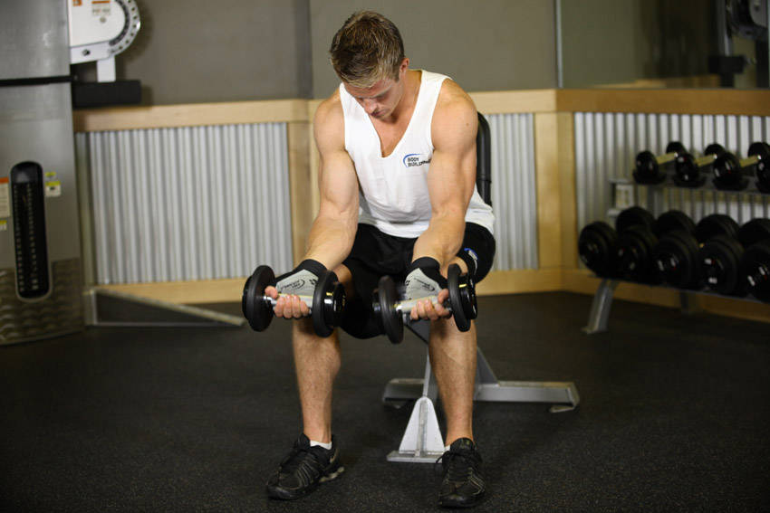 How to perform the Seated Dumbbell Palms-Up Wrist Curl exercise