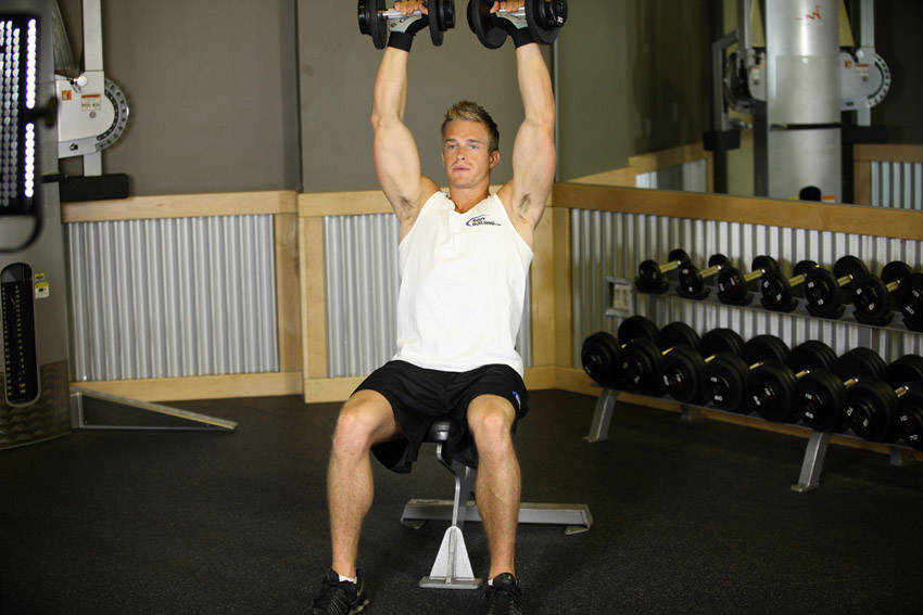 How to perform the Seated Dumbbell Press exercise
