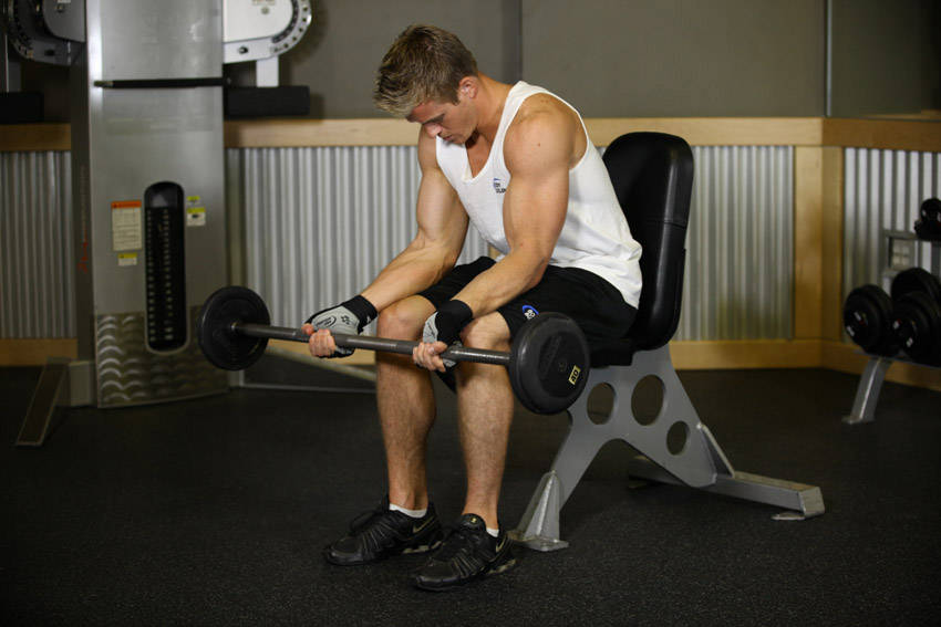 How to perform the Seated Palm-Up Barbell Wrist Curl exercise