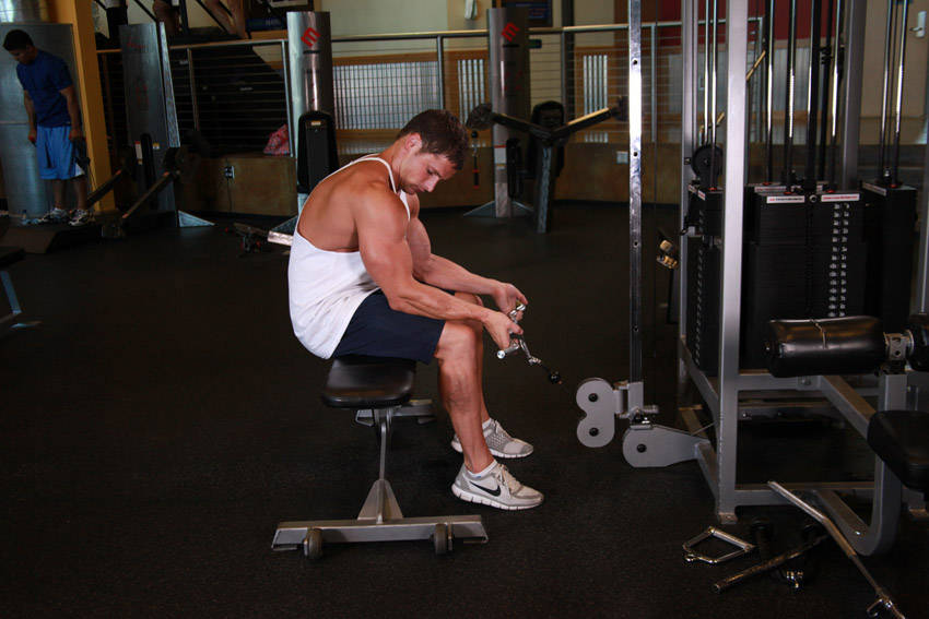 How to perform the Seated Two-Arm Palms-Up Low-Pulley Wrist Curl exercise