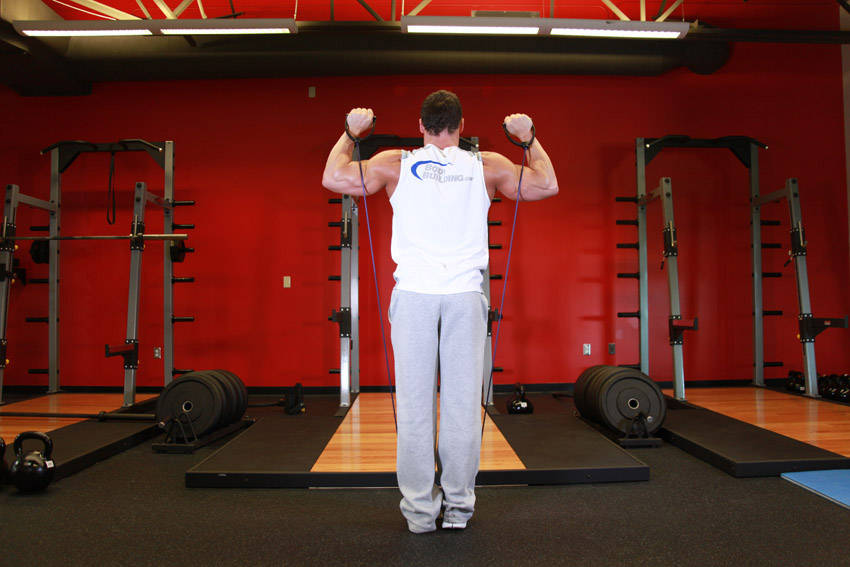 How to perform the Shoulder Press - With Bands exercise