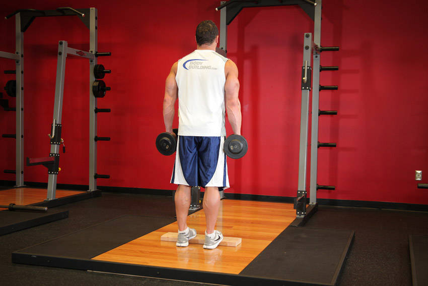 How to perform the Standing Dumbbell Calf Raise exercise