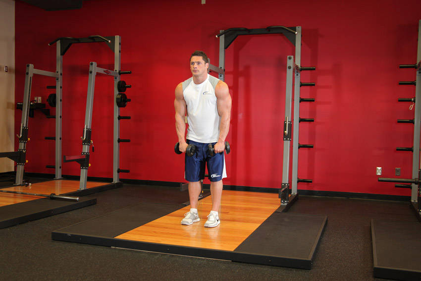 How to perform the Standing Dumbbell Straight-Arm Front Delt Raise Above Head exercise