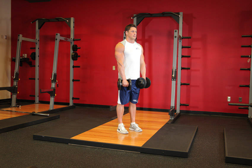 How to perform the Standing Dumbbell Reverse Curl exercise