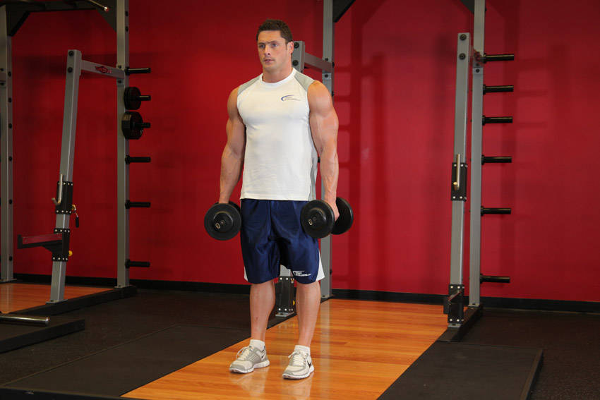 How to perform the Standing Inner-Biceps Curl exercise