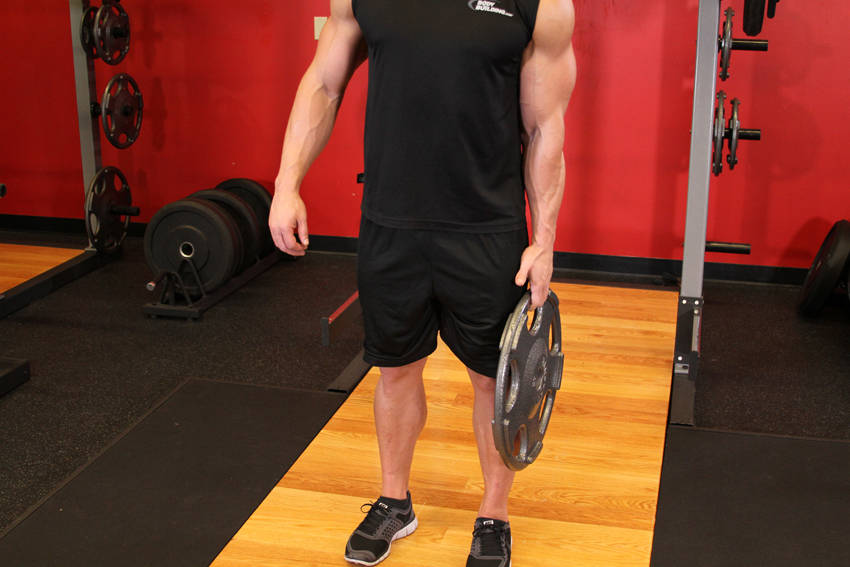 How to perform the Standing Olympic Plate Hand Squeeze exercise