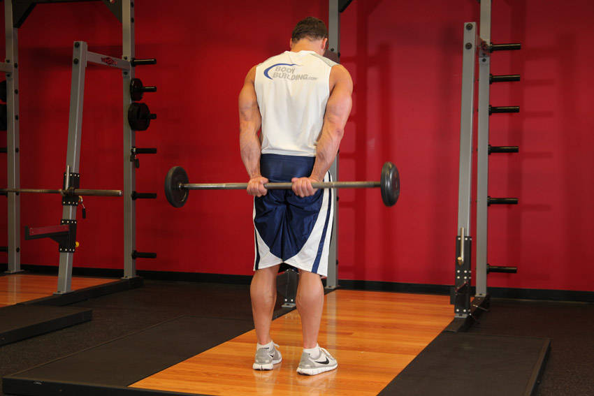 How to perform the Standing Palms-Up Barbell Behind The Back Wrist Curl exercise