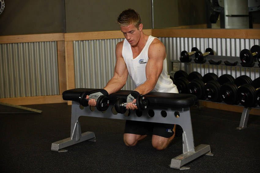 How to perform the Palms-Up Dumbbell Wrist Curl Over A Bench exercise