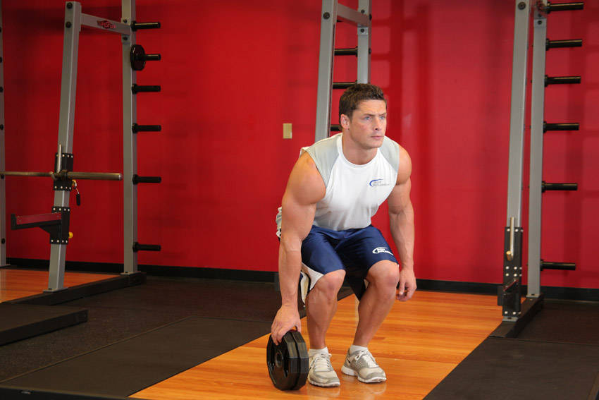 How to perform the Plate Pinch exercise