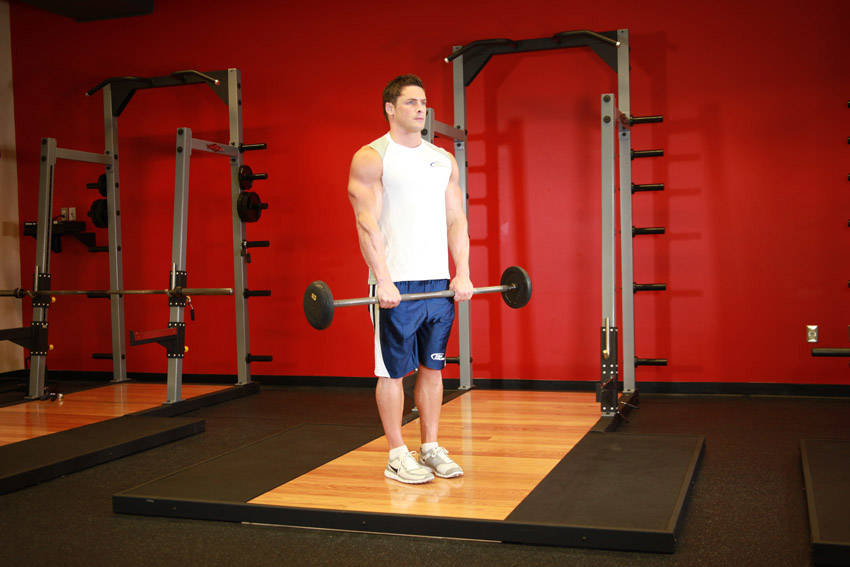 How to perform the Reverse Barbell Curl exercise