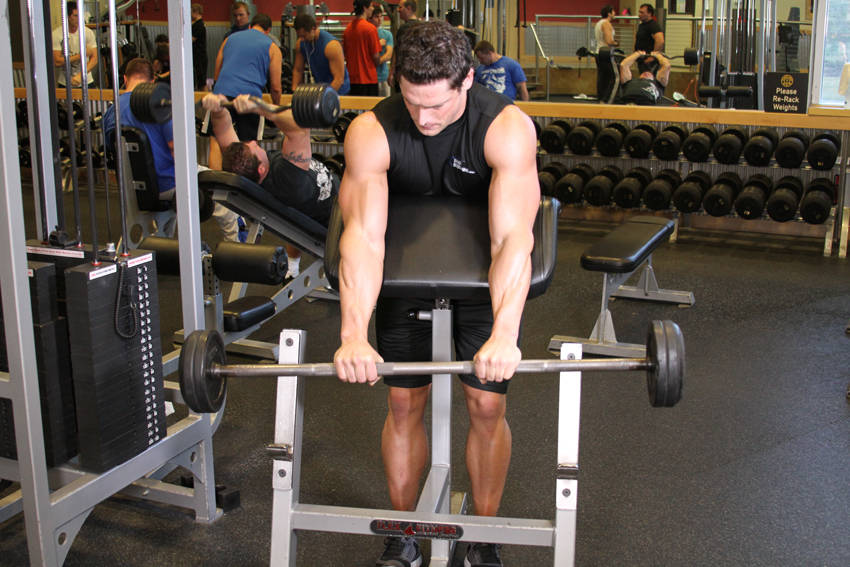 How to perform the Reverse Barbell Preacher Curls exercise