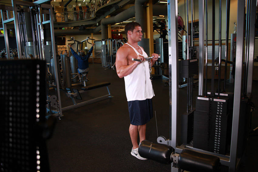 How to perform the Reverse Cable Curl exercise