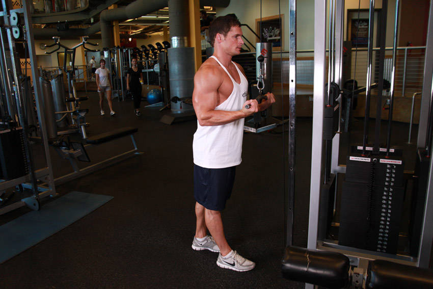 How to perform the Reverse Grip Triceps Pushdown exercise