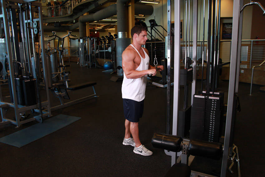 How to perform the Triceps Pushdown exercise
