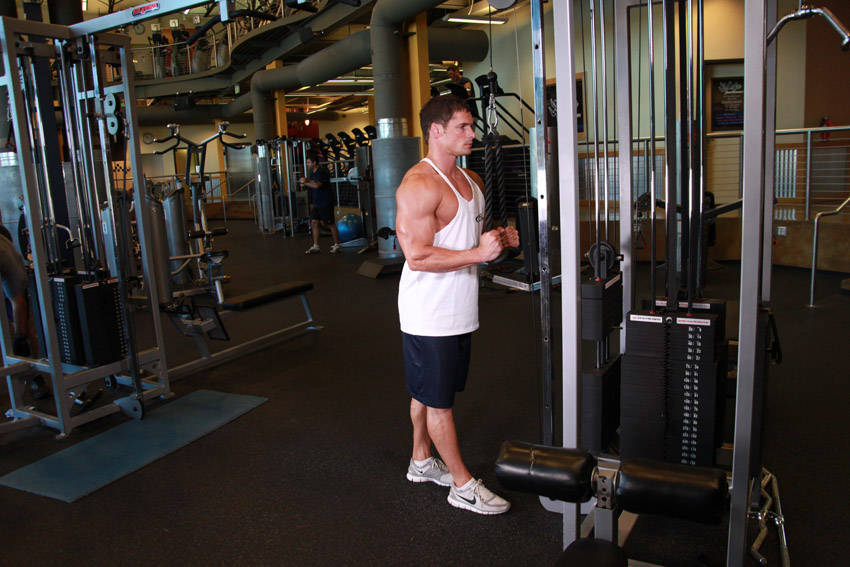 How to perform the Triceps Pushdown - Rope Attachment exercise