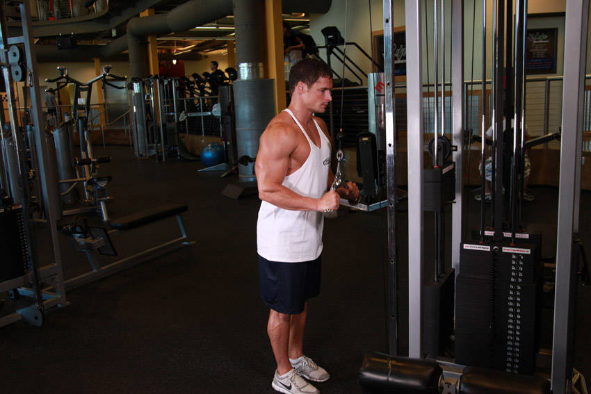 How to perform the Triceps Pushdown - V-Bar Attachment exercise
