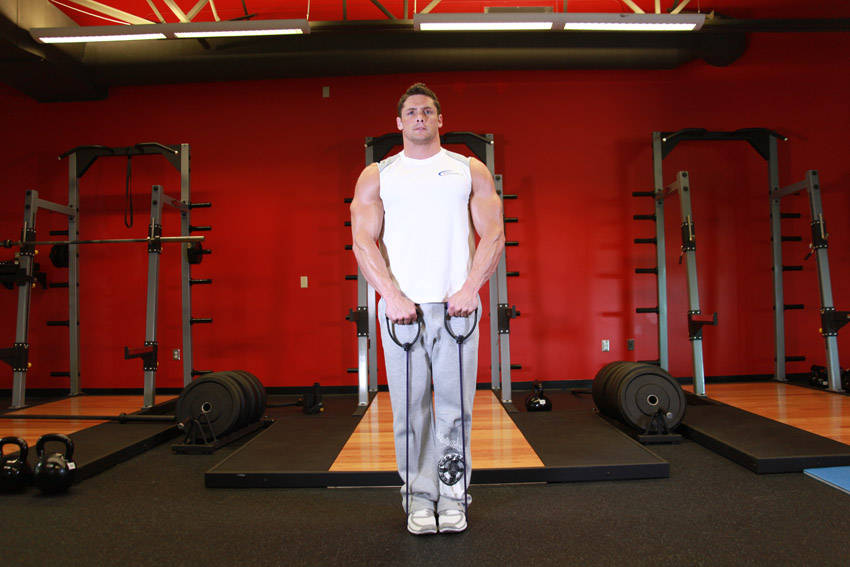 How to perform the Upright Row - With Bands exercise